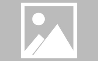 新安玉兔网站制作头像app（玉兔素材抠图）